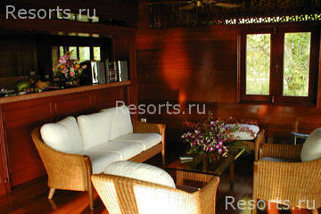 Coconut Paradise 51